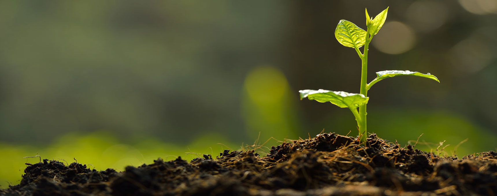 Open a savings account with us today